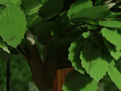 Tree in pot bonsai 3D model Blender file Free 3D model