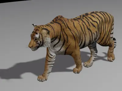 Tiger with animation 3D model