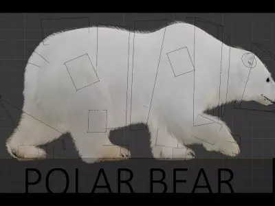 Polar Bear Low-poly 3D model 4