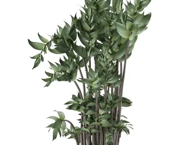 House Plant 18 3D model