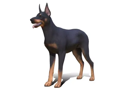 Dog - Doberman Low-poly 3D model