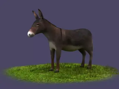 Donkeys ranches livestock breeding mammals 3D model