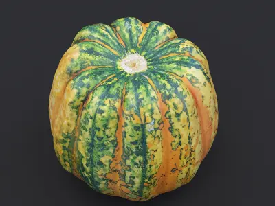 Pumpkin 3D model