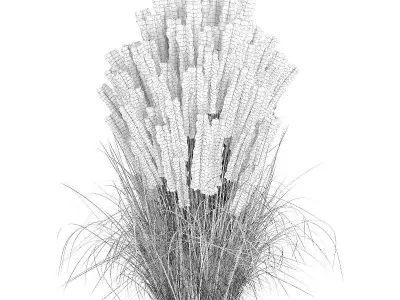 Ornamental Grass 2 3D model