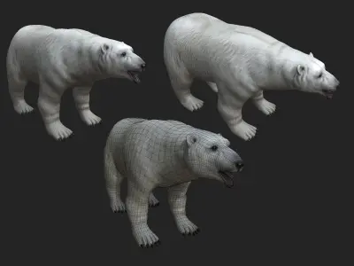 Next Gen AAA Polar Bear - high quality lowpoly game ready Low-poly 3D model