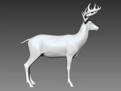 Deer base mesh for Zbrush 3D model