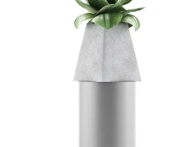 Plants Collection 112 3D model