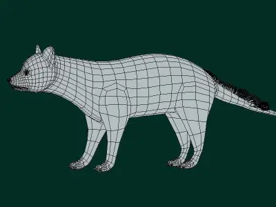 African Civet Cat Low-poly 3D model