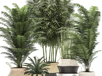 Decorative plants in a basket for the interior 489 3D model