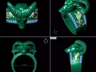 buffalo ring print 3d 3D print model