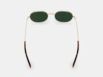 Merrick Sunglasses in Polished Gold 3D model