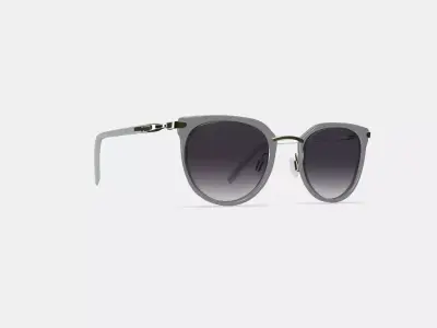 Whittier Sunglasses in Soapstone with Riesling 3D model