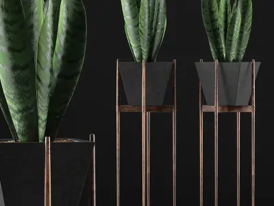 Plants Collection 99 3D model