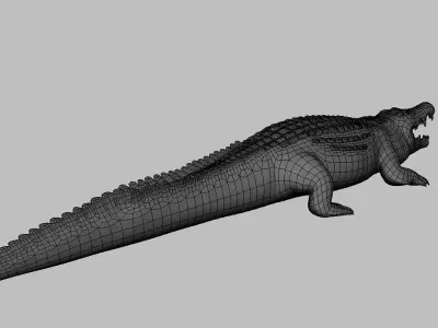 Crocodile Model Low-poly 3D model