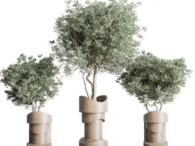 Collection indoor plant 265 plant tree bush vase concrete vase 3D model