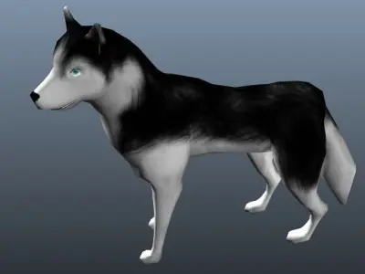 Dog Animation Low-poly 3D model