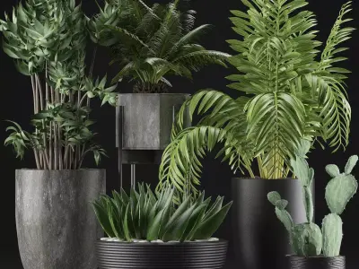 Plants Collection 19 3D model