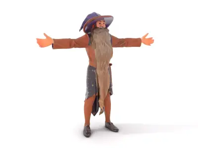 Wizard Character Model Pack with Detailed Robe and Hat Low-poly 3D model
