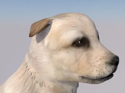 Puppy dog animations Low-poly 3D model
