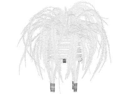 Fern in rattan stand 3D model