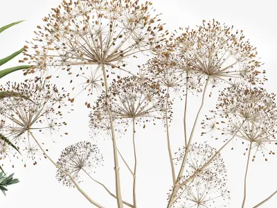 Decoration Set 15 3D model