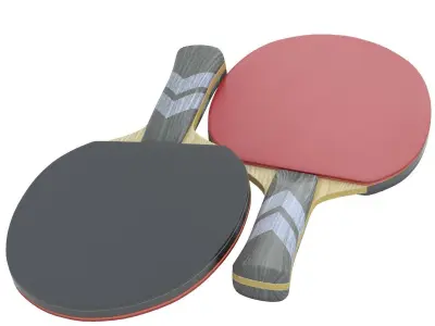 Ping Pong Paddle 3D model