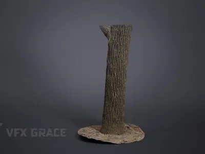 Apricot tree 001 3D model