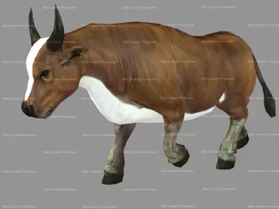 Cow Animated Low-poly 3D model