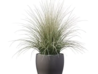 Grass artificial plant in pot 3D model