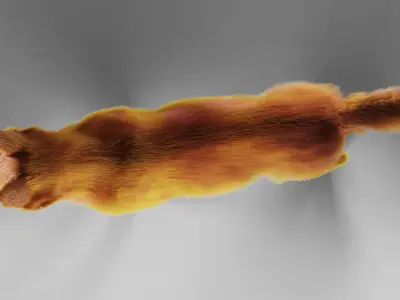 Fur Red Dog Rigged in Blender  Low-poly 3D model