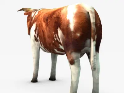 Cow three cows 3D model
