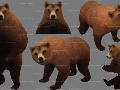 Bear Rigged Animated 10 Low-poly 3D model
