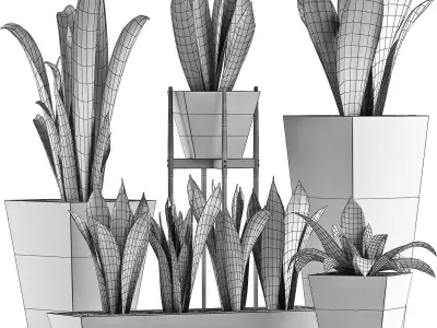 Plants Collection 29 3D model