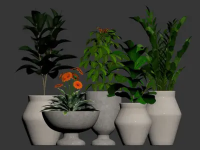 Indoor Plant Set 001 3D model