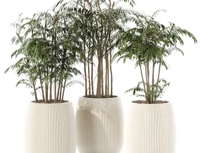 plants collection set 03