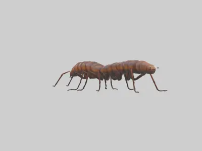 Centipede crawling model 3D model
