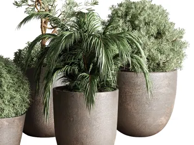 Collection Outdoor plant concrete dirt vase pot tree bush palm 3D model