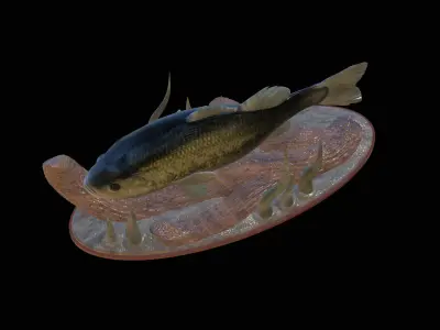 fish bass in motion underwater statue detailed texture 3D print model