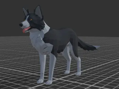 LowPoly Dog - Border Collie Low-poly 3D model
