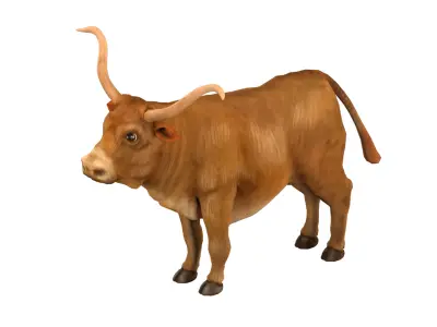 bull  rig  high-poly  textured 3D model