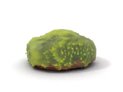 Green Moss Cushion model pack Low-poly 3D model