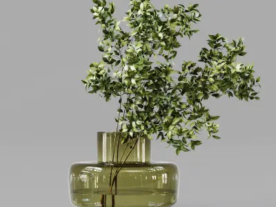 Collection Indoor Plants 01 3D model