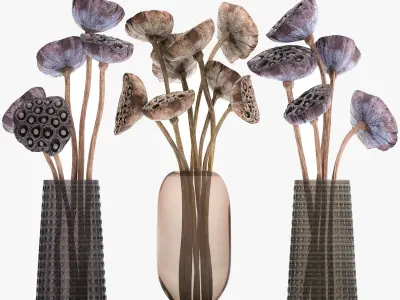 Bouquet of dried flowers lotus in a glass vase 152 3D model