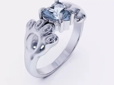 ring WR 681 3D print model