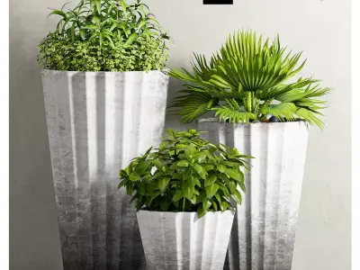 Decorative plant set-37 3D model