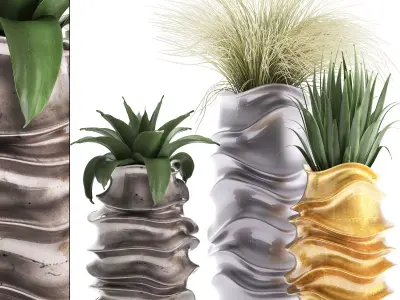 Collection of Exotic plants 3D model