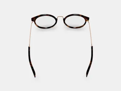 Jayla Eyeglasses in Cognac Tortoise with Polished Gold 3D model