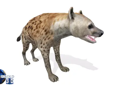 Hyena Rigged Animated Lowpoly 3D Model Low-poly 3D model