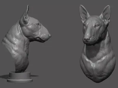 Bull Terrier bust 3D print model