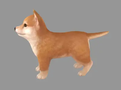 Cartoon pet puppy - Shibainu - baby dog Low-poly 3D model